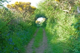 The path to Pontiago