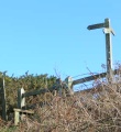 Signpost on coast path