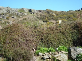 View from double bedroom